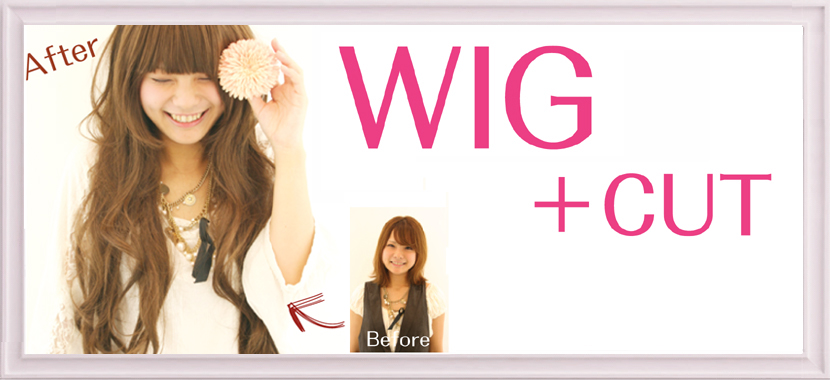 http://www.b2c.jp/blog/wig.jpg