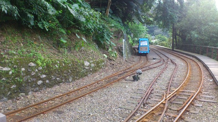 烏来温泉トロッコ列車