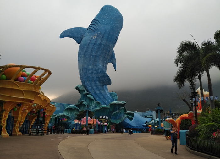 長隆海洋王国の巨大ジンベエザメ