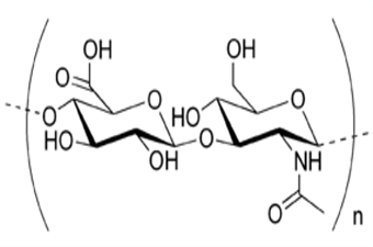 ヒアルロン酸2